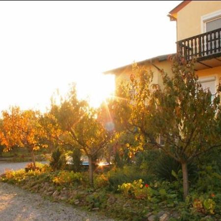 Ferienwohnungen Oedenburgerhof Mörbisch am See Dış mekan fotoğraf