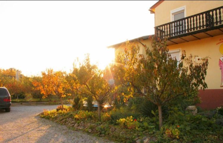 Ferienwohnungen Oedenburgerhof Mörbisch am See Dış mekan fotoğraf